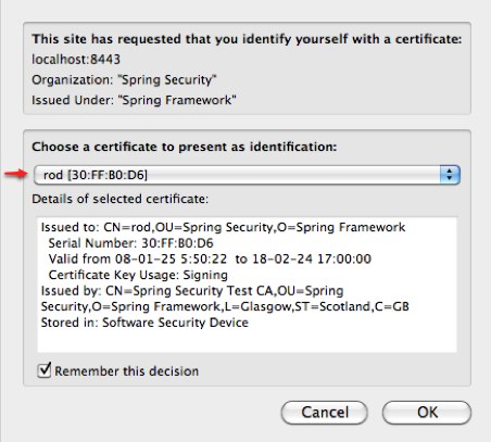 Spring security hot sale certificate authentication