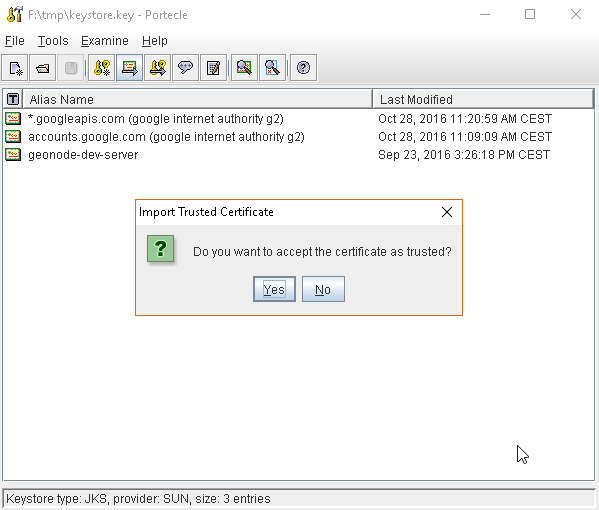 ../../_images/google_ssl_0101.png
