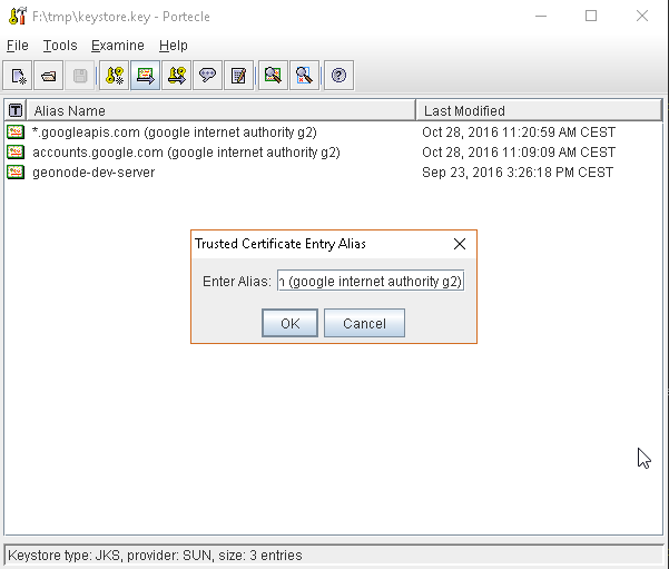 ../../_images/google_ssl_0111.png