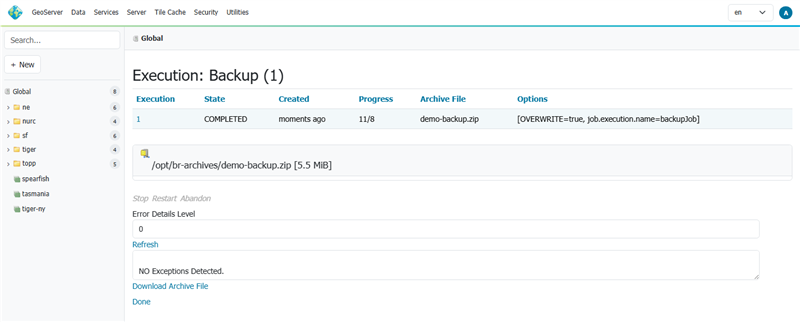 Backup execution summary page reporting a completed job