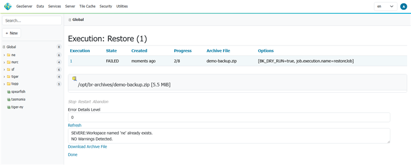 Execution summary of a failing dry-run restore