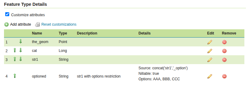 ../../_images/data_layers_feature_customize_details.png